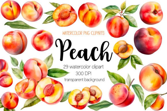 Download Watercolor Peach Clipart Bundle PNG - Bundle Collection