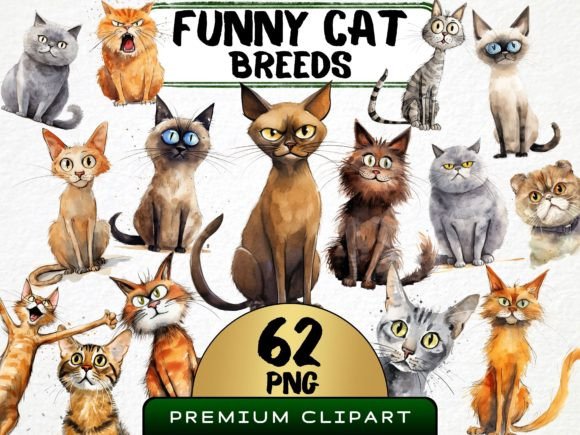 Download Funny Cat Breeds Clipart Bundle - Bundle Collection